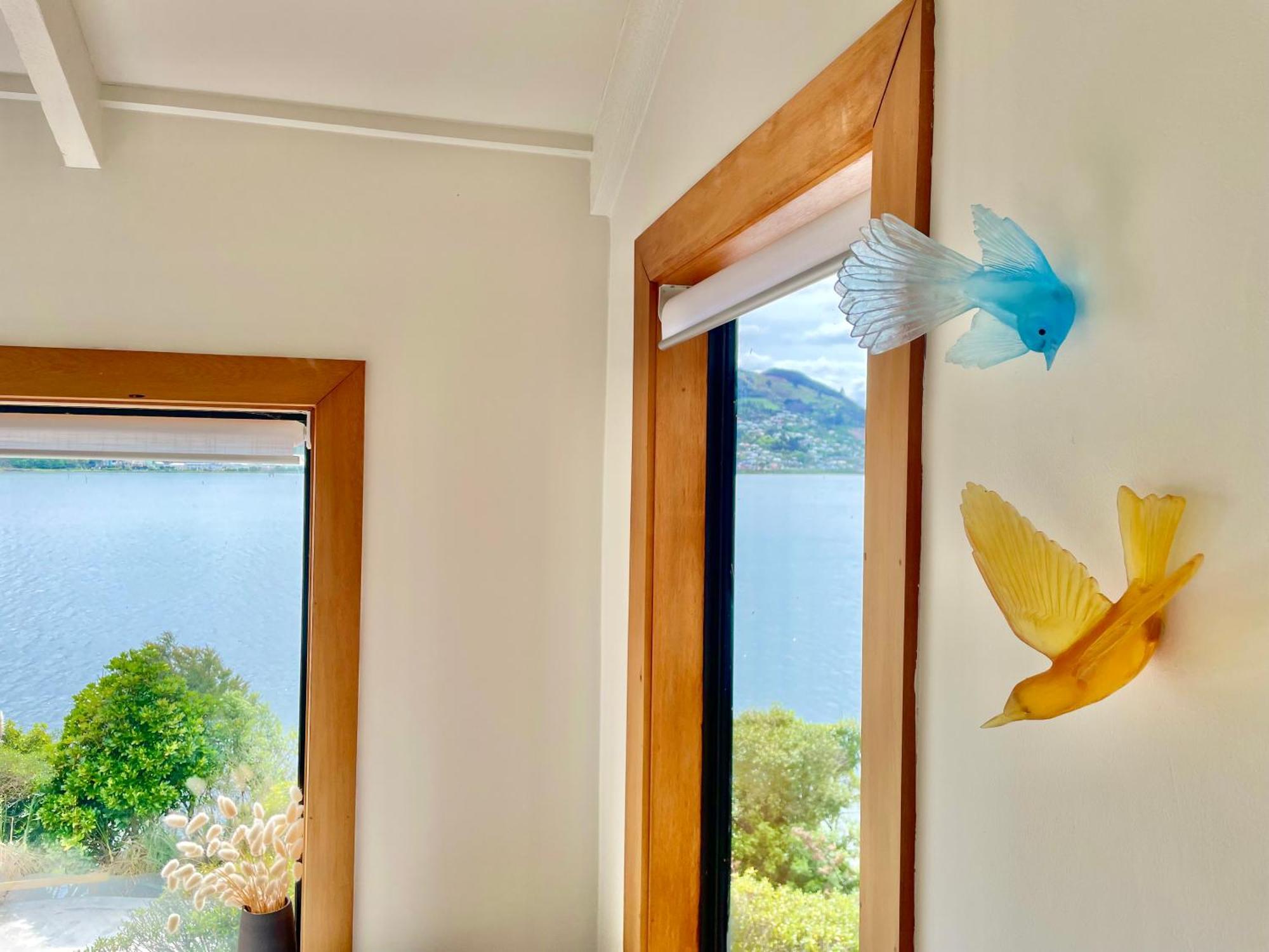 The Cove Cabin - Your Quiet Escape Dunedin Exterior foto