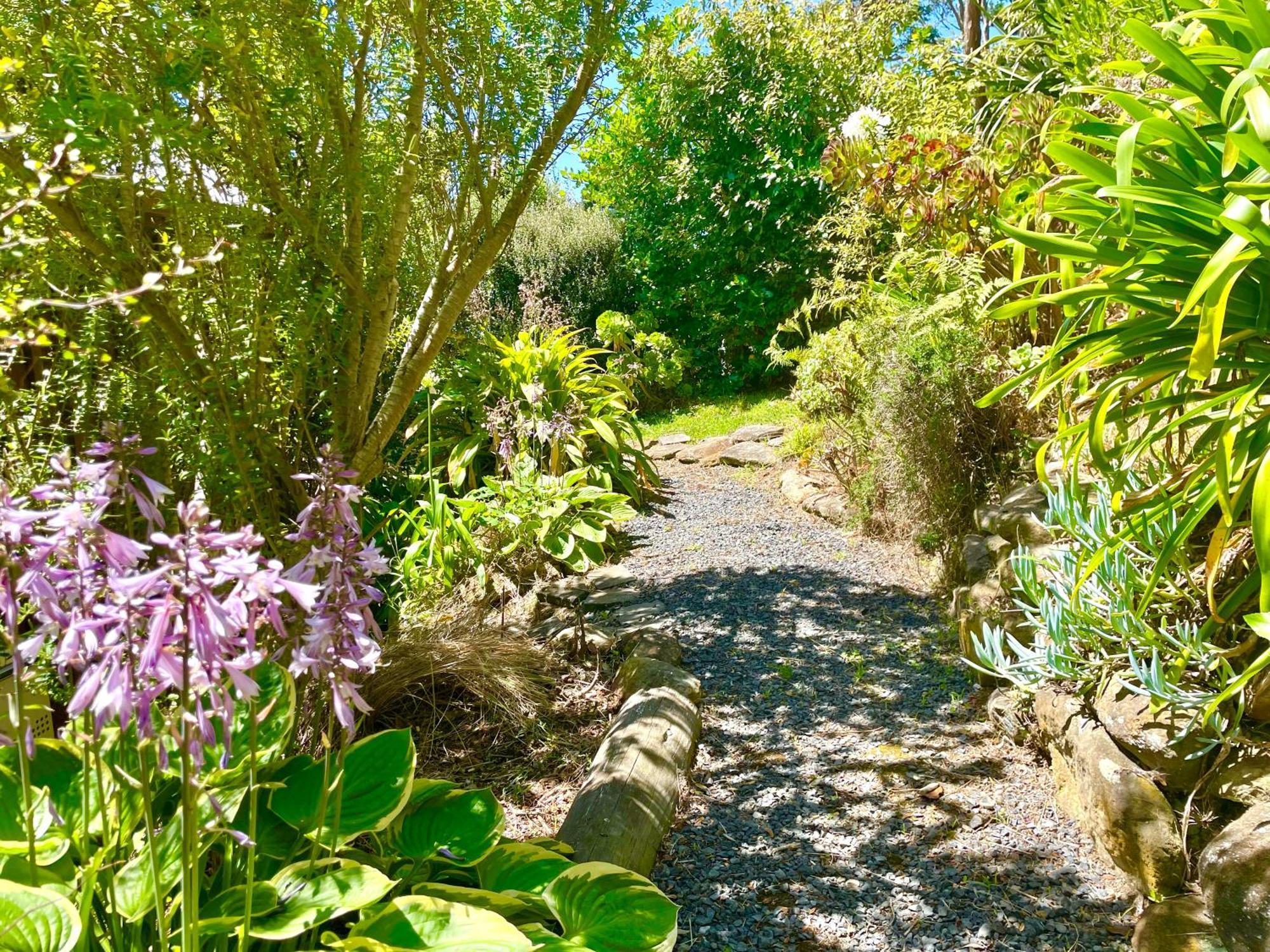 The Cove Cabin - Your Quiet Escape Dunedin Exterior foto